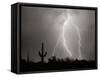 Electric Desert I BW-Douglas Taylor-Framed Stretched Canvas