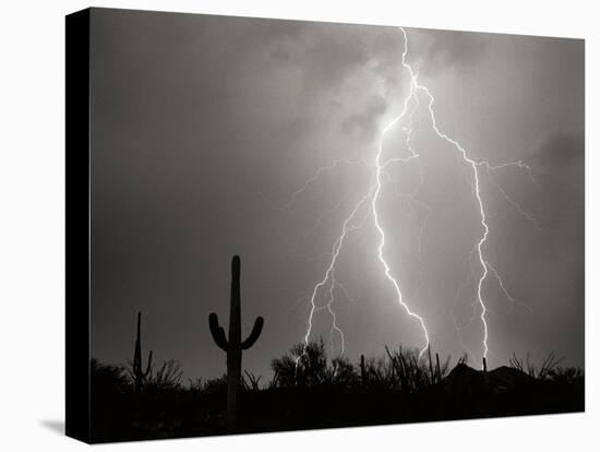 Electric Desert I BW-Douglas Taylor-Stretched Canvas