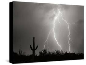 Electric Desert I BW-Douglas Taylor-Stretched Canvas