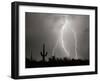 Electric Desert I BW-Douglas Taylor-Framed Photographic Print