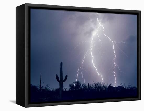 Electric Desert I-Douglas Taylor-Framed Stretched Canvas