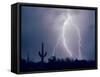 Electric Desert I-Douglas Taylor-Framed Stretched Canvas