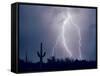 Electric Desert I-Douglas Taylor-Framed Stretched Canvas