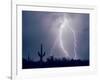 Electric Desert I-Douglas Taylor-Framed Photographic Print