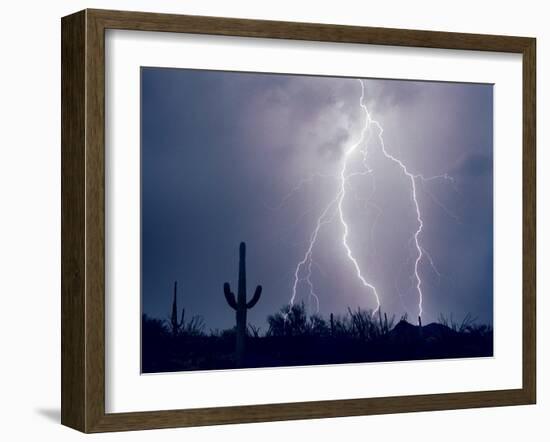 Electric Desert I-Douglas Taylor-Framed Photographic Print