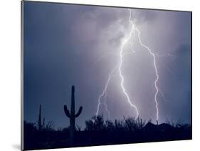 Electric Desert I-Douglas Taylor-Mounted Photographic Print