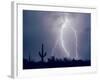 Electric Desert I-Douglas Taylor-Framed Photographic Print