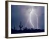 Electric Desert I-Douglas Taylor-Framed Photographic Print