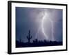 Electric Desert I-Douglas Taylor-Framed Photographic Print