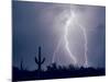 Electric Desert I-Douglas Taylor-Mounted Photographic Print