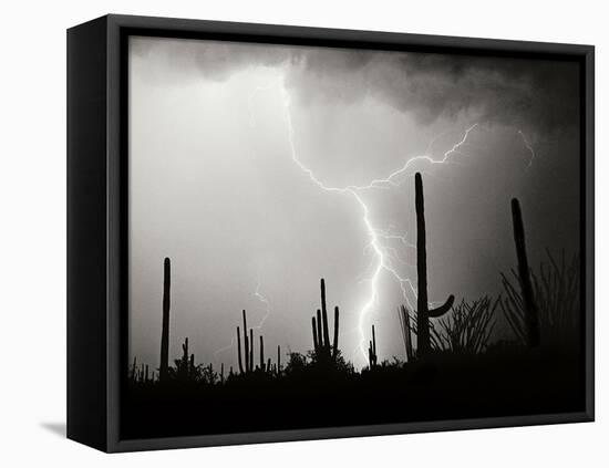 Electric Desert II BW-Douglas Taylor-Framed Stretched Canvas