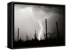 Electric Desert II BW-Douglas Taylor-Framed Stretched Canvas