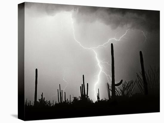 Electric Desert II BW-Douglas Taylor-Stretched Canvas
