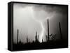 Electric Desert II BW-Douglas Taylor-Framed Stretched Canvas