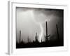 Electric Desert II BW-Douglas Taylor-Framed Photographic Print