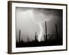 Electric Desert II BW-Douglas Taylor-Framed Photographic Print