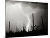 Electric Desert II BW-Douglas Taylor-Mounted Photographic Print