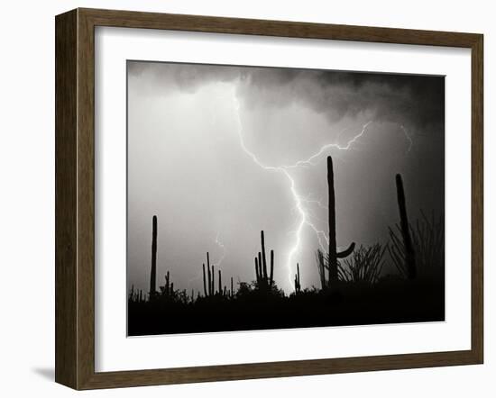 Electric Desert II BW-Douglas Taylor-Framed Photographic Print