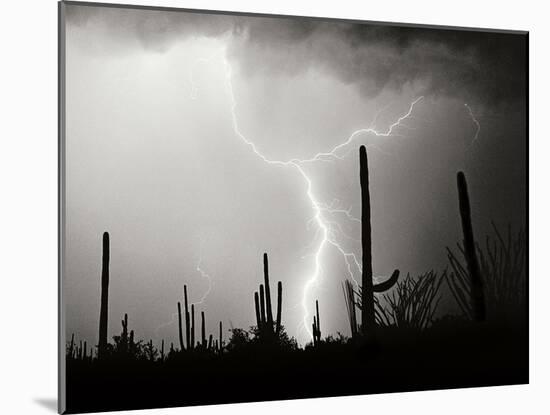 Electric Desert II BW-Douglas Taylor-Mounted Photographic Print