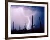 Electric Desert II-Douglas Taylor-Framed Photographic Print