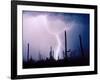 Electric Desert II-Douglas Taylor-Framed Photographic Print