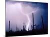 Electric Desert II-Douglas Taylor-Mounted Photographic Print