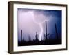 Electric Desert II-Douglas Taylor-Framed Photographic Print