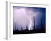 Electric Desert II-Douglas Taylor-Framed Photographic Print