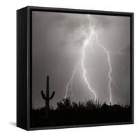 Electric Desert III BW-Douglas Taylor-Framed Stretched Canvas