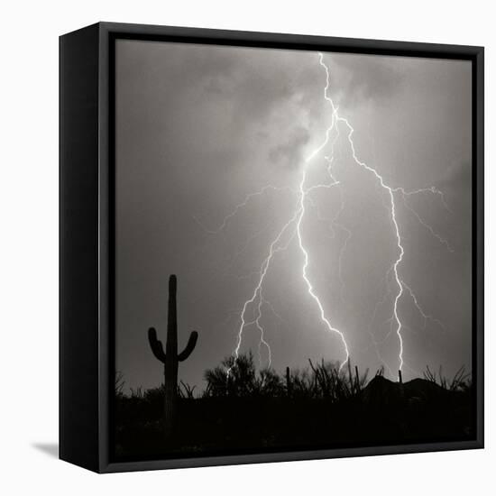 Electric Desert III BW-Douglas Taylor-Framed Stretched Canvas