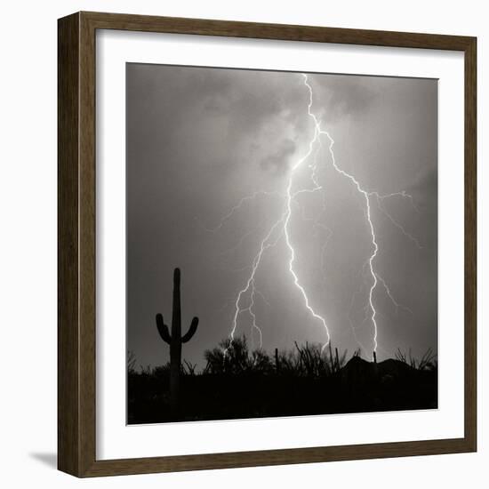 Electric Desert III BW-Douglas Taylor-Framed Photographic Print