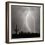 Electric Desert III BW-Douglas Taylor-Framed Photographic Print