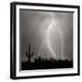 Electric Desert III BW-Douglas Taylor-Framed Photographic Print