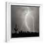 Electric Desert III BW-Douglas Taylor-Framed Photographic Print