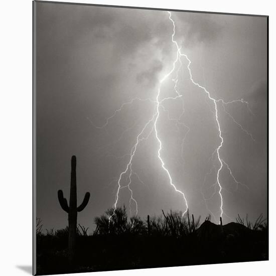 Electric Desert III BW-Douglas Taylor-Mounted Photographic Print