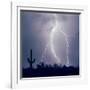 Electric Desert III-Douglas Taylor-Framed Photographic Print