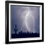 Electric Desert III-Douglas Taylor-Framed Photographic Print