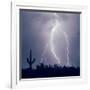 Electric Desert III-Douglas Taylor-Framed Photographic Print