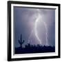 Electric Desert III-Douglas Taylor-Framed Photographic Print