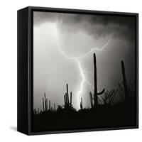 Electric Desert IV BW-Douglas Taylor-Framed Stretched Canvas