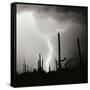 Electric Desert IV BW-Douglas Taylor-Framed Stretched Canvas