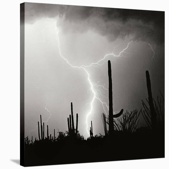 Electric Desert IV BW-Douglas Taylor-Stretched Canvas