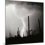 Electric Desert IV BW-Douglas Taylor-Mounted Photographic Print