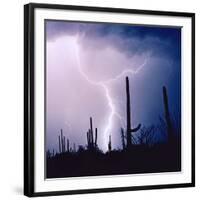 Electric Desert IV-Douglas Taylor-Framed Photographic Print