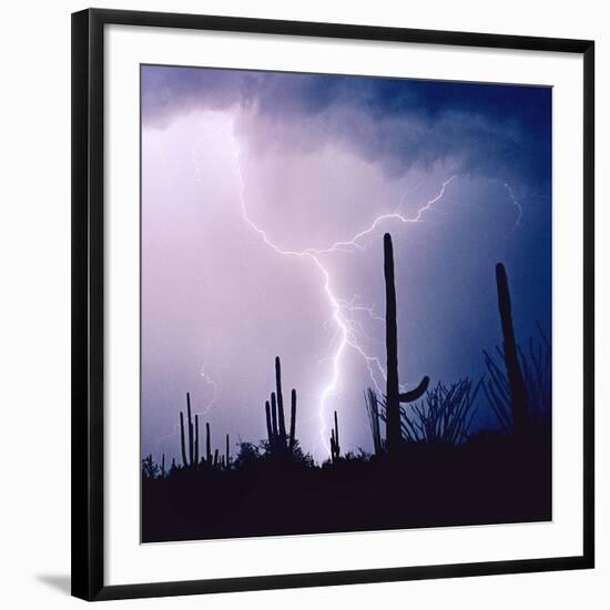 Electric Desert IV-Douglas Taylor-Framed Photographic Print