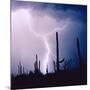 Electric Desert IV-Douglas Taylor-Mounted Photographic Print