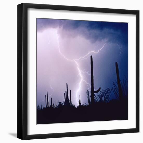 Electric Desert IV-Douglas Taylor-Framed Photographic Print