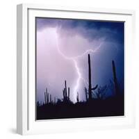 Electric Desert IV-Douglas Taylor-Framed Photographic Print