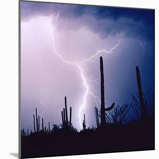 Electric Desert IV-Douglas Taylor-Mounted Photographic Print