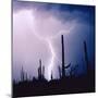 Electric Desert IV-Douglas Taylor-Mounted Photographic Print